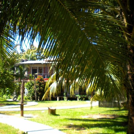 Chill Vibes Hiriketiya Hostel Dikwella Ngoại thất bức ảnh