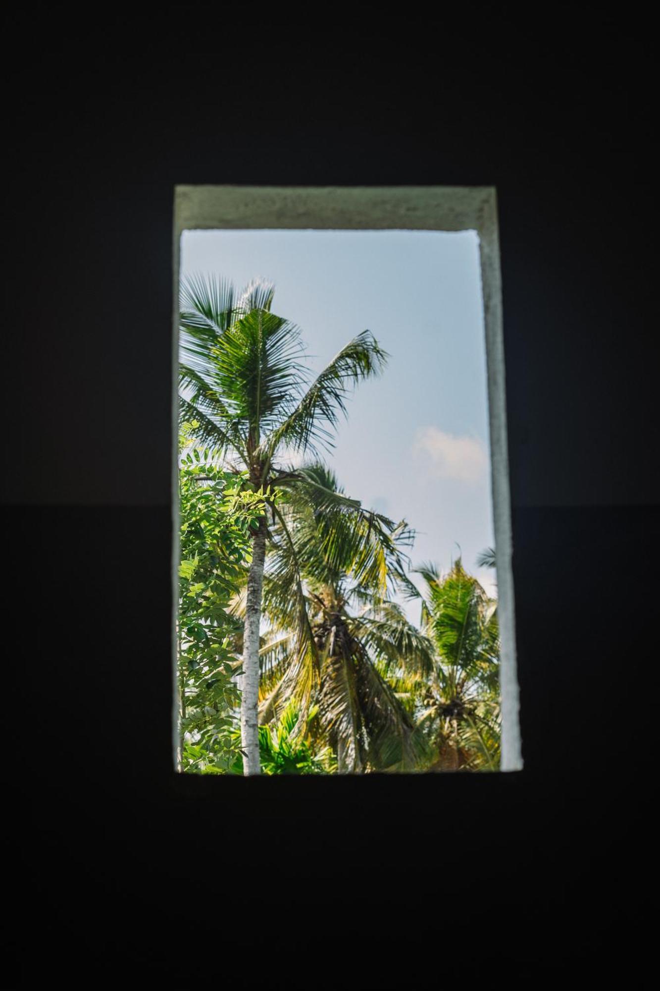 Chill Vibes Hiriketiya Hostel Dikwella Ngoại thất bức ảnh