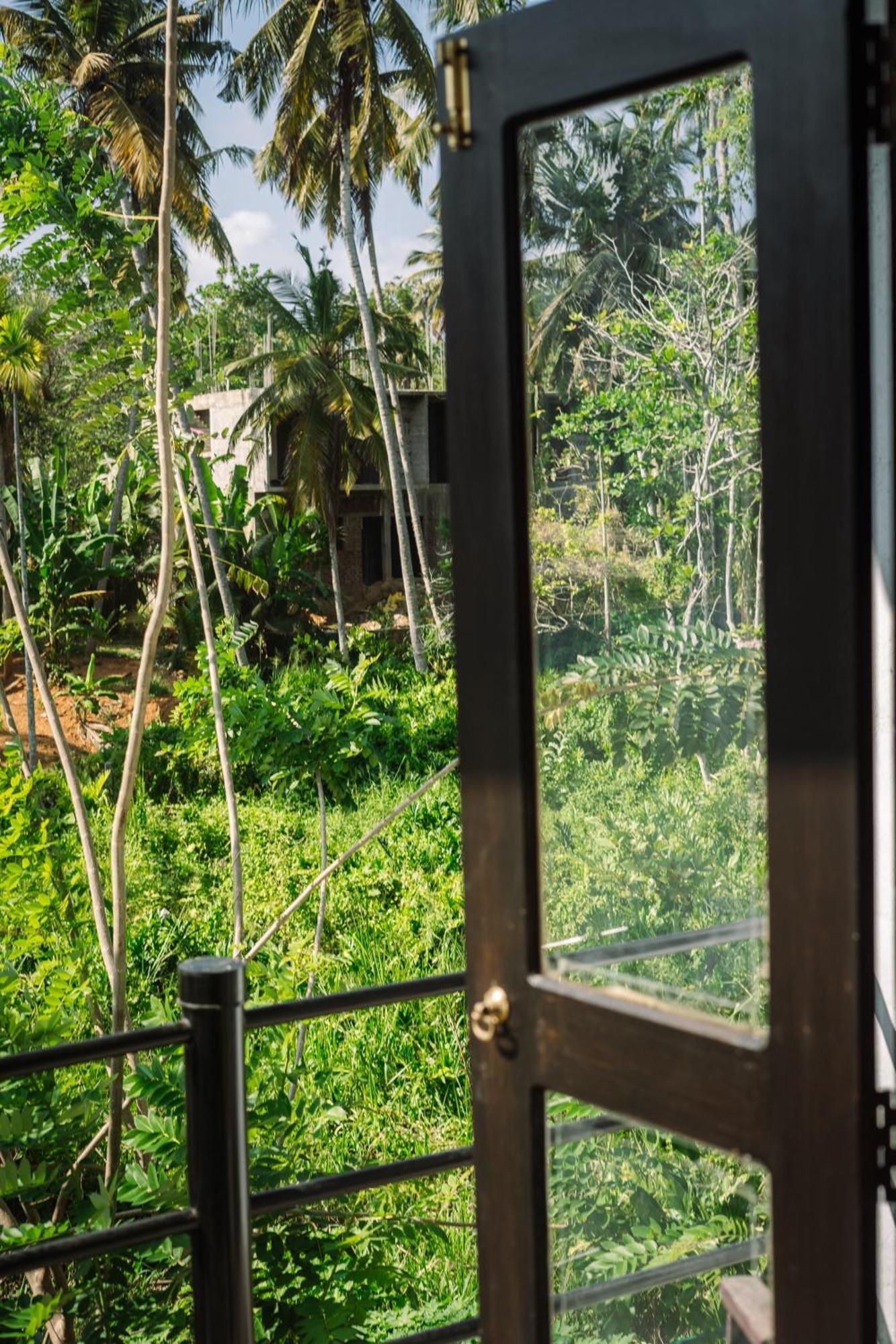 Chill Vibes Hiriketiya Hostel Dikwella Ngoại thất bức ảnh