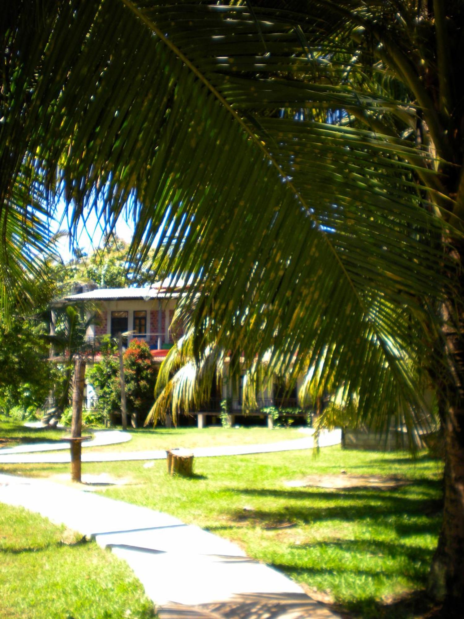 Chill Vibes Hiriketiya Hostel Dikwella Ngoại thất bức ảnh